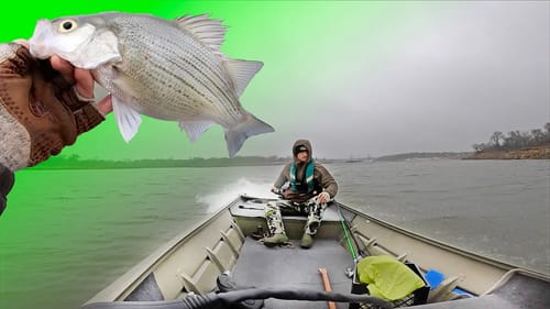 Chasing White Bass Up Creeks with Jon Boat
