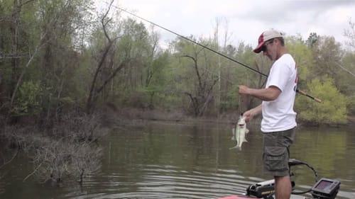 Tips for Flipping Early in the Spring