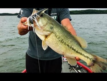 MONSTER Bass in MEGA Schools on Big Swimbaits & Deep Divers!