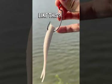 Catching a Monster Fish with Unconventional Bait #fishing