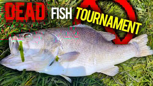 Did a Fishing TOURNAMENT Devastate this Lake?!?!