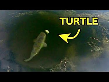 I’ve NEVER SEEN A BASS DO THIS!!
