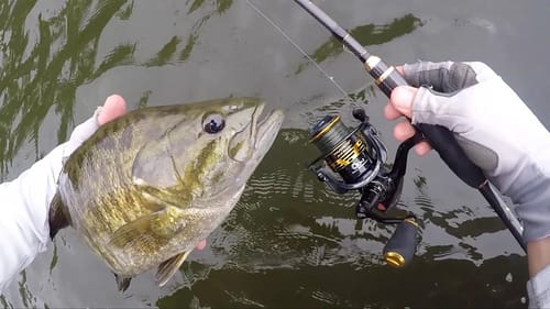 My NEW BEST Finesse Fishing Bass Rod