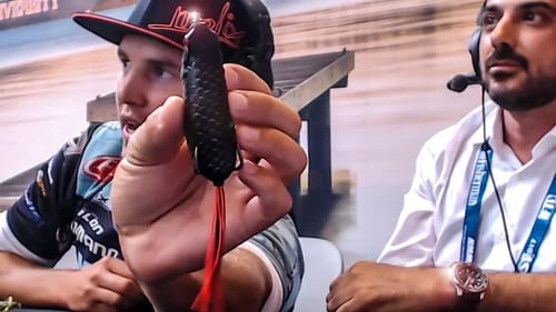 Bass Fishing - Review of Topwater Frog & Amazing New Molix Lures