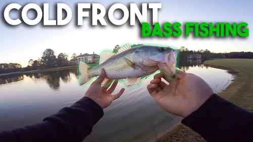 Pond FISHING During A Cold Front...