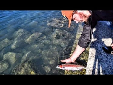 When the BASS aren't Biting  ||You Catch RAINBOW TROUT||