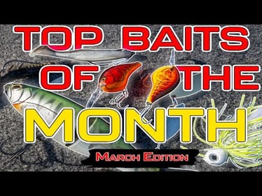 TOP BAITS of the MONTH ( March 2025 Edition 4K )
