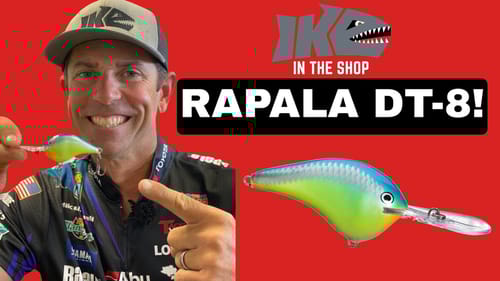 The Hottest Crankbait of 2021!