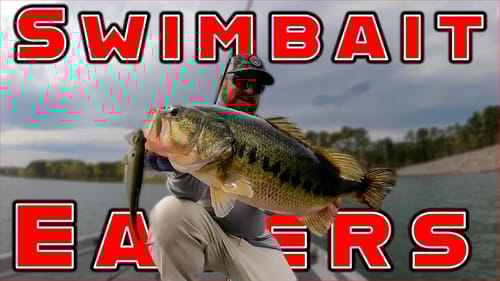 Targeting Giant Bass With Swimbaits! ( On The Water )