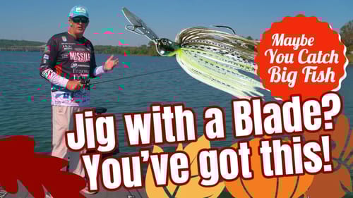 The Chatterbait Fishing Guide For Everyone