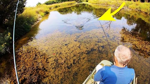 WE FOUND A HIDDEN FARM POND and BIG FISH!!