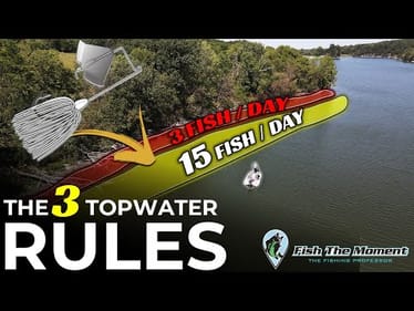 1,000 Hours of Fall Topwater Fishing taught me this…