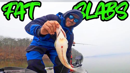 Spring Crappie Fishing Tips - They Are So FAT!! (Quacoa Review)