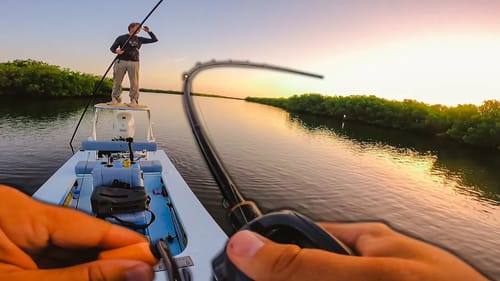 Fishing Topwaters and Live Mullet | A Perfect Summer Day In Florida|