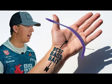 How I WON $500k On A Neko Rig 💰: ONE Bait To Fish ALL YEAR