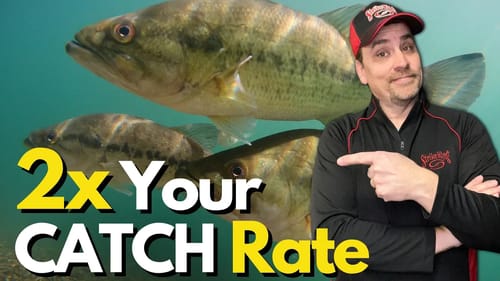Understand This Bass HABIT and Double Your Catch