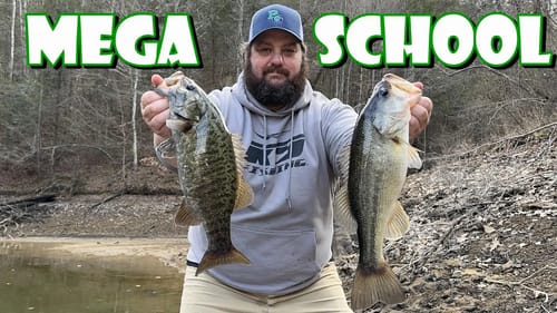 I FOUND a Winter MEGA School of Bass