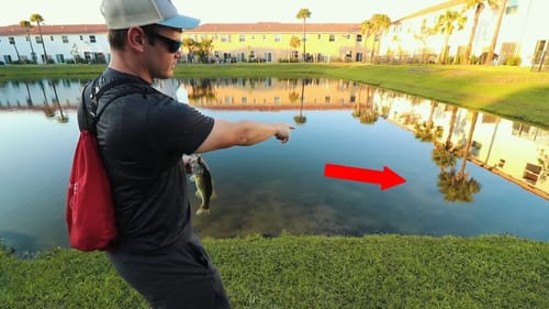 Spawn Fishing Florida Bass