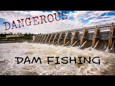 How to Catch Fish Below the Dam