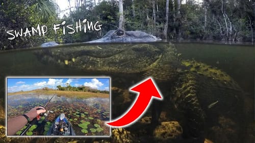 Using KAYAK To Explore Florida Swamps For BIG FISH (Sketchy!)