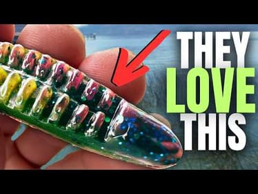 The BEST & Most CONSISTENT Summer LURE For BIG BASS