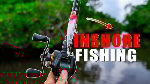 When Topwater Fishing is GOOD