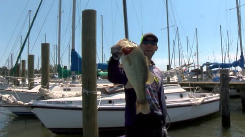 2016 Classic LIVE Promo #1 Martens Winning Fish
