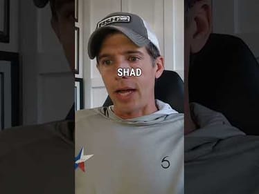 We Bet You DID NOT Know This About Bass!