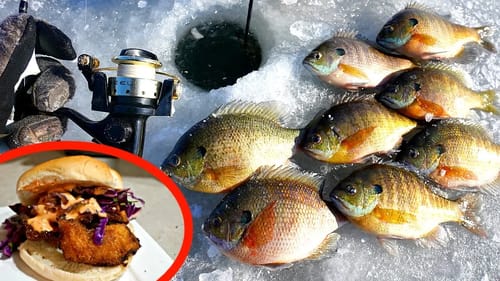 Bluegill Catch n' Cook!!! The BEST Fish Sandwich!