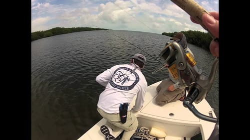 Snook Fishing in Marathon, FL
