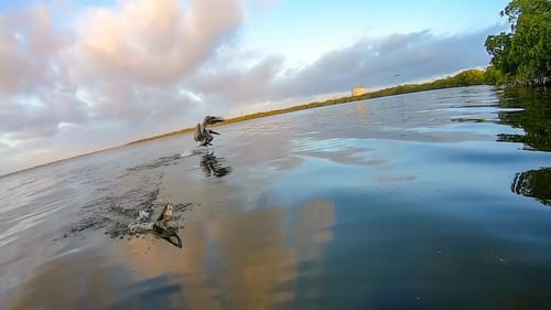 My Biggest Fear When Fishing by Myself