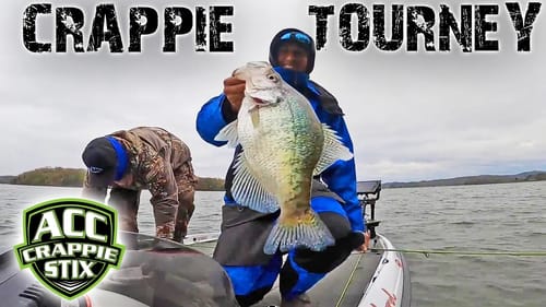 CRAPPIE FISHING TOURNAMENT ON WATTS BAR! (ACC BIG CRAPPIE BASH)