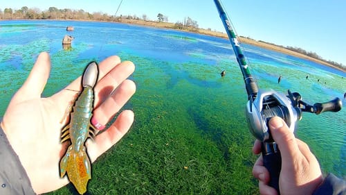 WINCHING Cold Front Bass BURIED in THICK Cover!!! (Winter Bass Fishing)