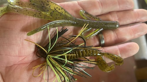 Jig vs. Creature Bait In The Fall…STOP Making This Common Mistake