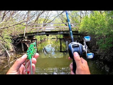 HIDDEN Backwater Pond is LOADED w/ Fish!!