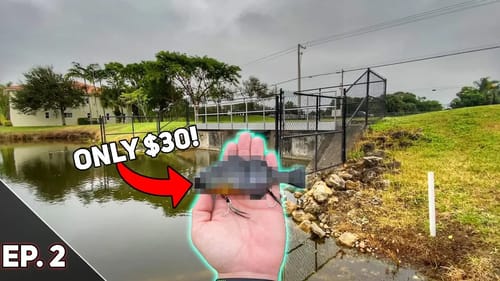 BEST Swimbait UNDER $30! | Swimbait Showdown: Season 2, Ep 2