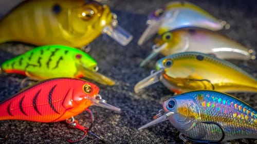 Squarebill Crankbaits For Spring Bass Fishing!