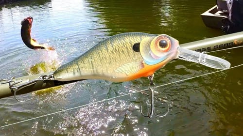 A Heartbreaking Sequence of Bait Maker DEVASTATION