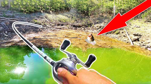 WINNING $30,000 at a Fishing Tournament??? HIGH STAKES Championship Event!!