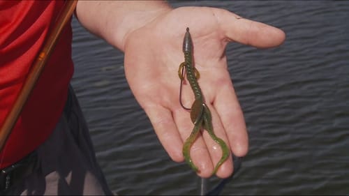 How To Fish The YUMphibian | Bass Fishing