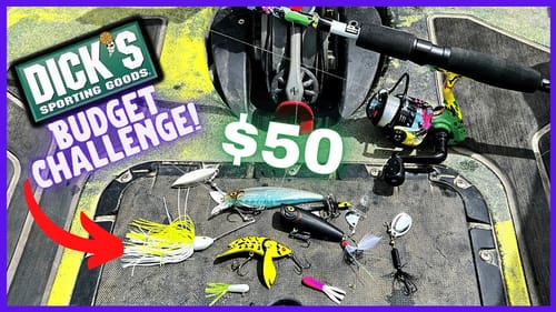 $50 Dicks Sporting Goods BUDGET Fishing Challenge | Rod, Reel, Lures!