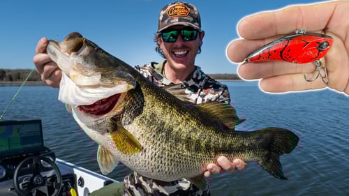 Fishing for Shallow Water GIANTS!