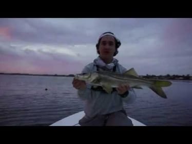 Topwaters for Snook and Blues