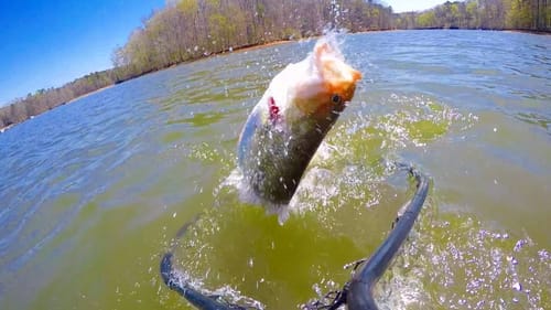 Kickin Their Bass Tv Trailer ~ Action Packed