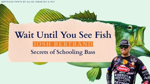Don't EVER Start Fishing Until You SEE Bass