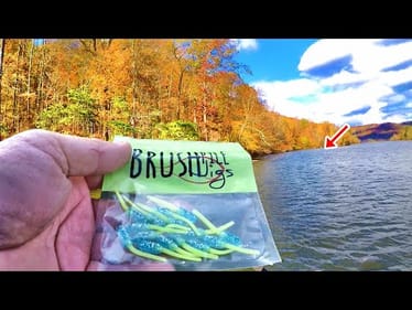 Let's Catch Some Crappie For Dinner! Easy Places To Catch Crappie