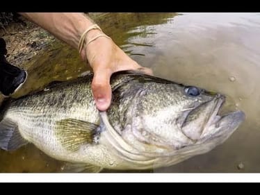 POND HOPPING for GIANT TEXAS BASS!