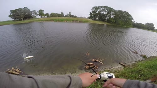 Fall Pond Hopping
