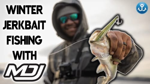 Cold Weather Jerkbait Fishing w/ MDJ (Winter Bass Fishing Tips)