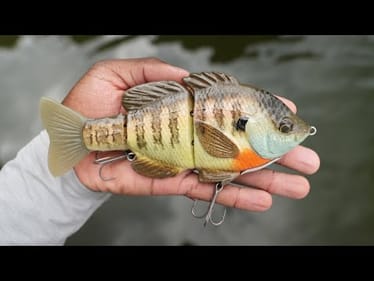 This Bluegill Swimbait Might Be The Best One On The Market!